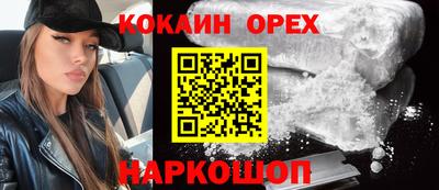 индика Новодвинск