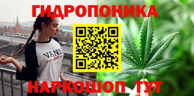ALPHA PVP Новозыбков