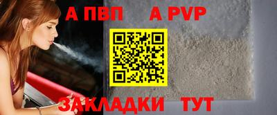 индика Новодвинск