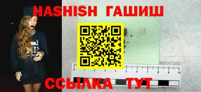 индика Новодвинск