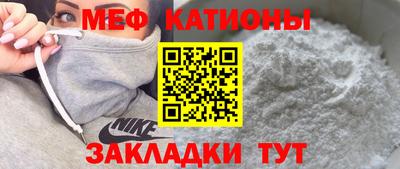 индика Новодвинск