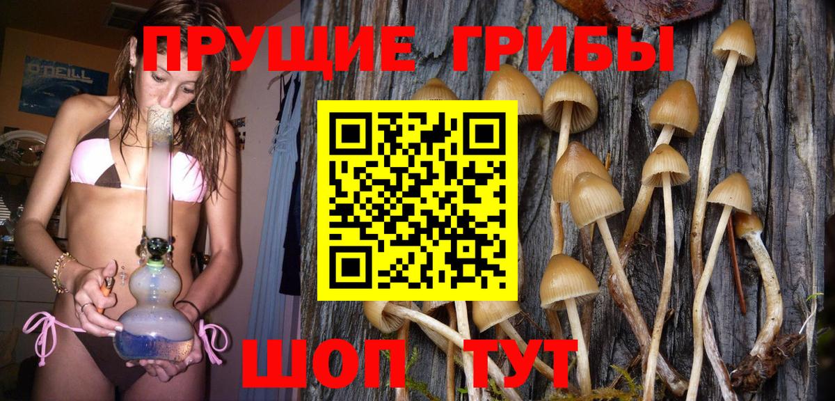 Псилоцибиновые грибы мицелий  дарнет шоп  Тула  Вход с VPN 